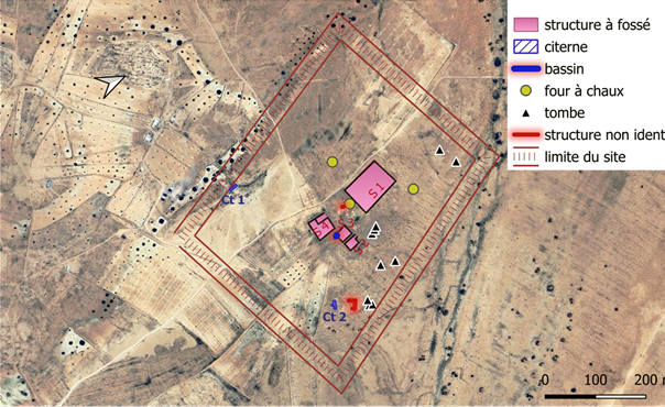 Fesagui image 3